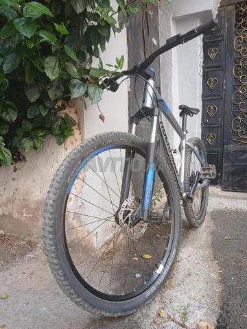 روك رايدر ST 530 رمادي - 2