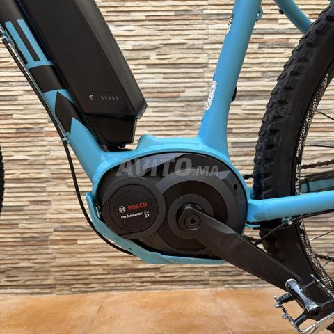 Trek Powerfully 5 - 2