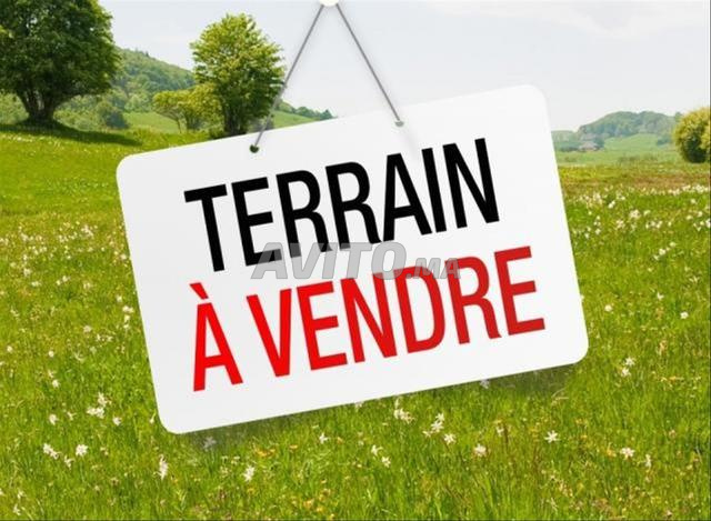 Terrain à vendre Targa