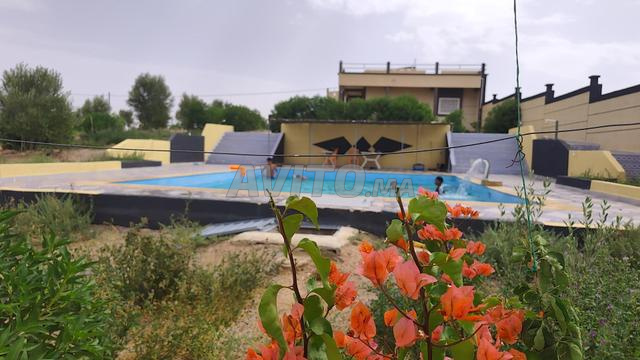 ferme a oujda - 2