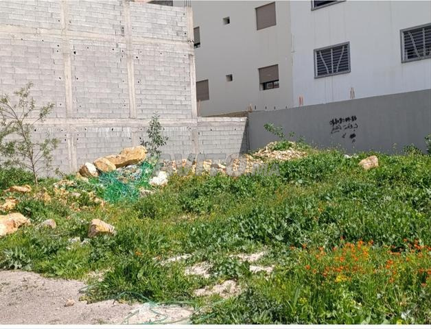 Terrain villa 160m² subdivision California quartier Al Farah Settat - 2