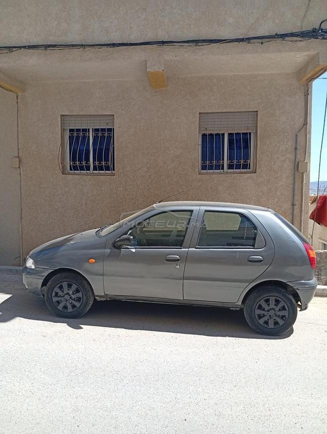 طنجة زياتن
