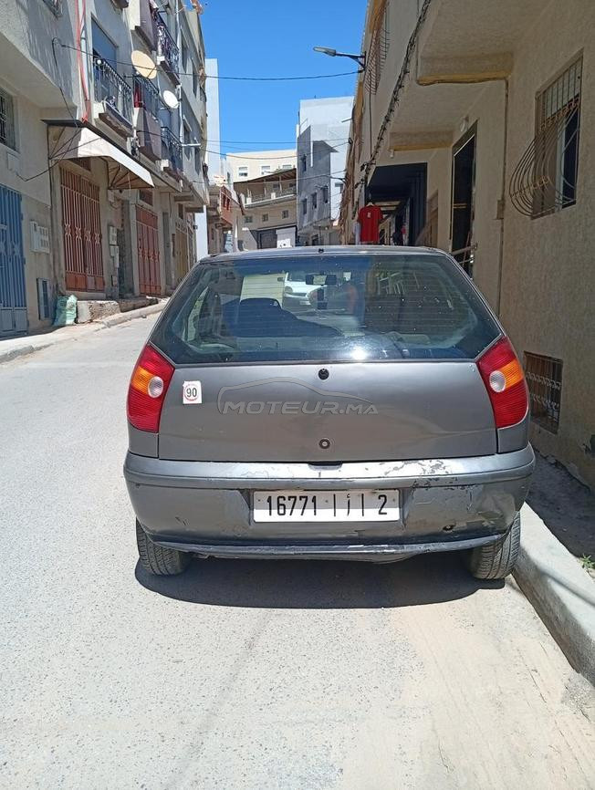 طنجة زياتن