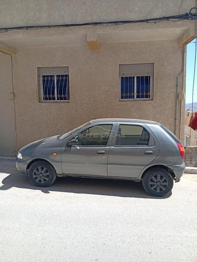طنجة زياتن