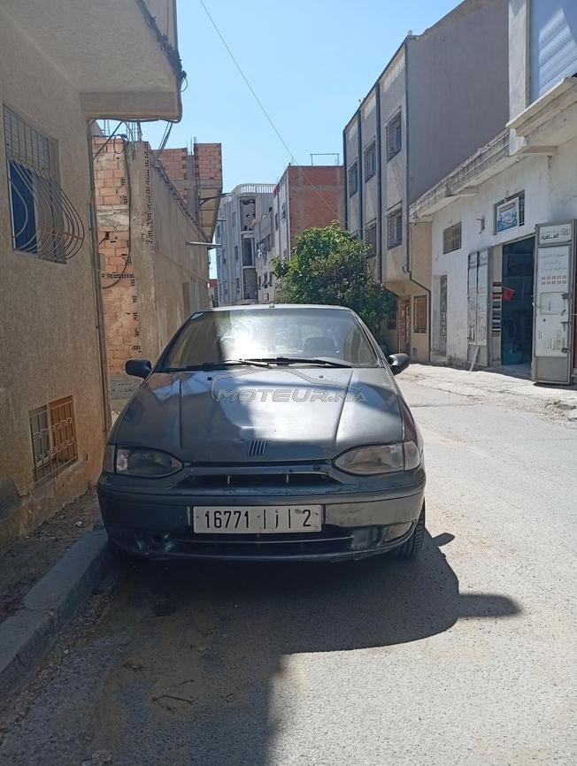 طنجة زياتن