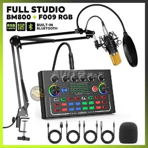 Microphone professionnel