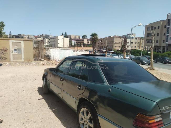 settat 334j