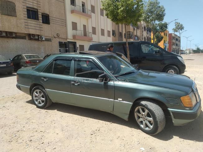 settat 334j
