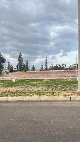 قطعة أرض للبيع قبالة ثانوية سيدي إدريس بوجدة
