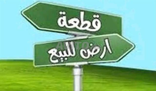بقعة أرضية للبيع 60م² حي حاسي البكر سيدي بيبي