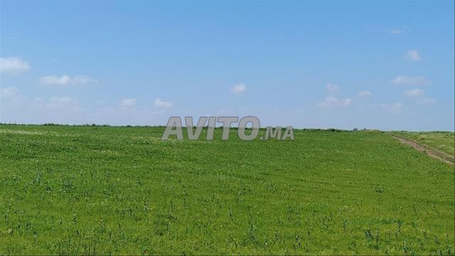 Vente de Terrains & Fermes Titrés – Bir Jdid - 2