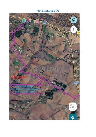 Terrain agricole d'une superficie d'un demi-hectare