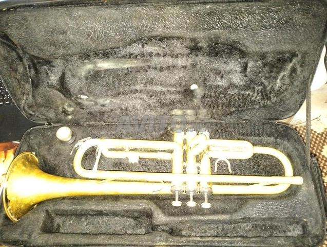 بوق سي بيمول 🎺 - 2