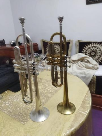 بوق هندي شي حاجة طوب 🎺 - 2