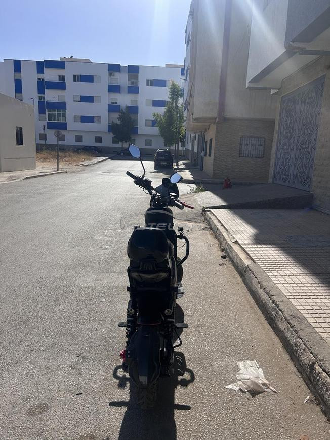touring pro carplay darba 4 chhor f zanqa