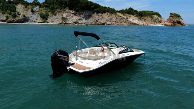Bateau Sea Ray 190 SPX OB 150 cv Mercury - 2