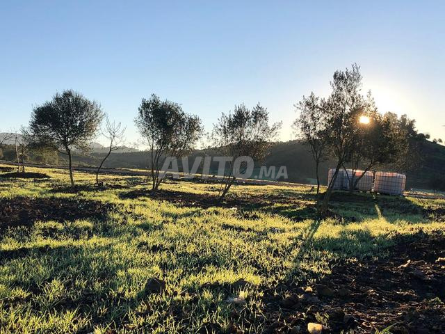 FERME AGRITOURISME AVEC VILLA-PISCINE AIRBNB - 2