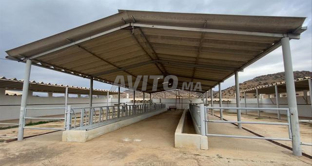Ferme enregistrée équipée pour l'élevage de bétail et la production de lait