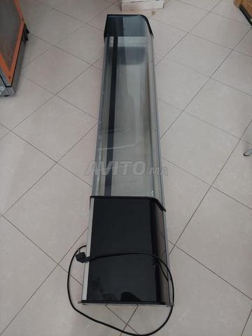 Saladière professionnelle pour bars - 2
