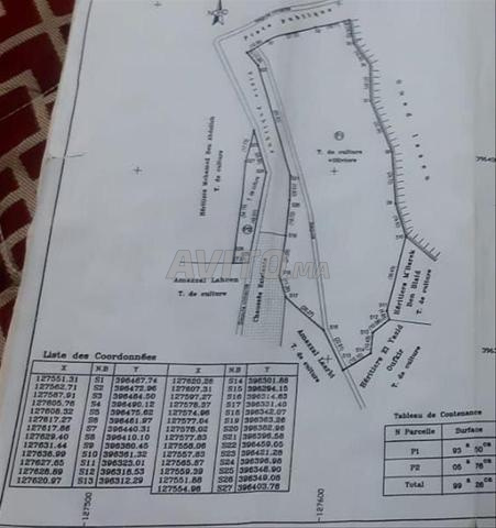 بقعة أرضية للبيع 1700 م 250 درهم للمتر مربع أكافاي تارودانت