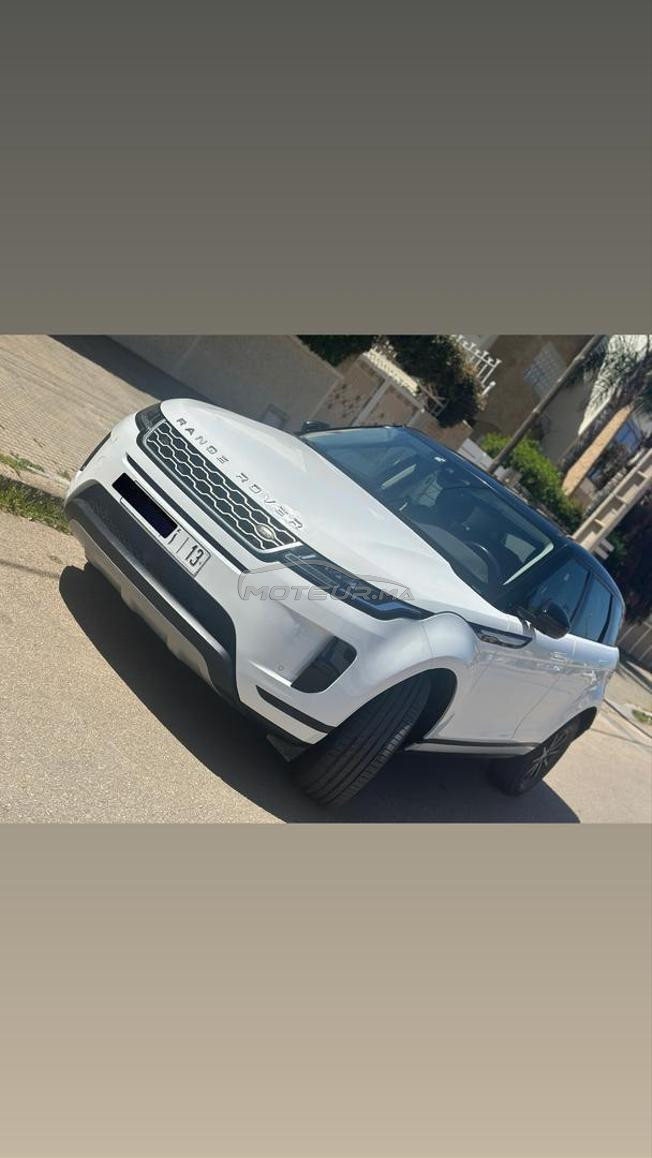 Bébé Velar 