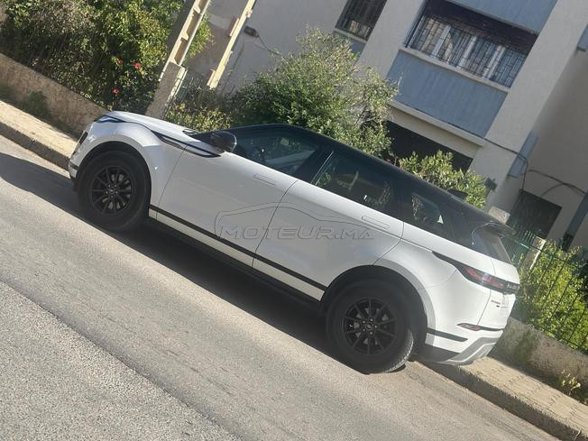 Bébé Velar 