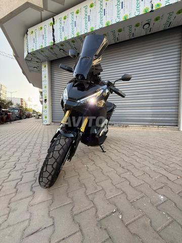 Xadv 2025