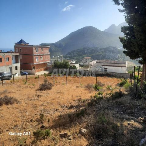 Terrain titré à vendre de 446 M2 - 2