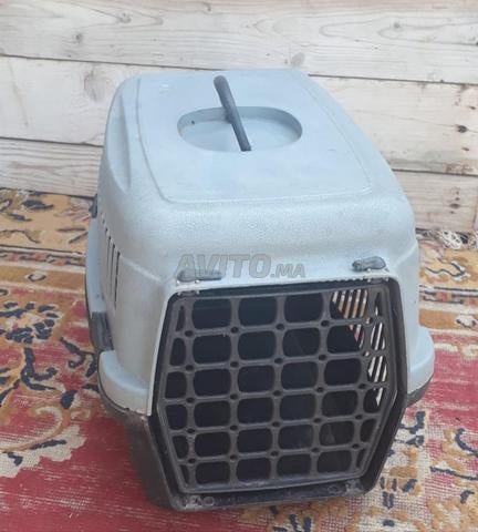 Cage pour chat et chien - 2