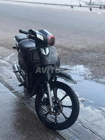 Bekan 33 2026 Najma - 2