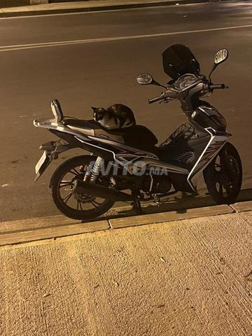 Tanger Swani - 2