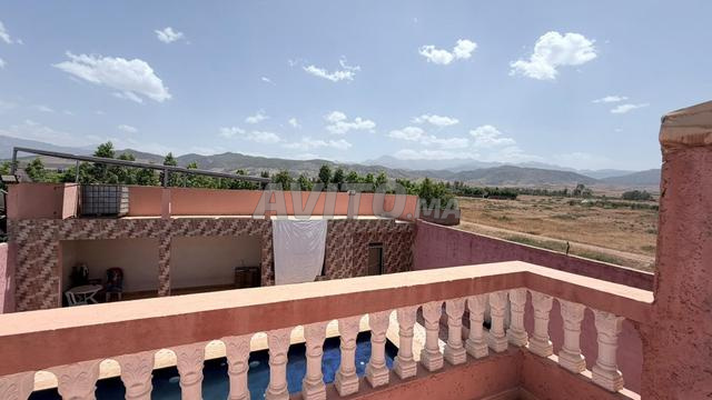 طريق أوريكة العقرب - 2