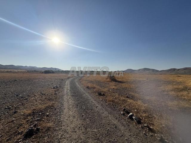 Terrain Milkiya 5 000 m² – Jbilets Marrakech