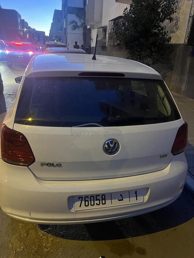 polo jedida