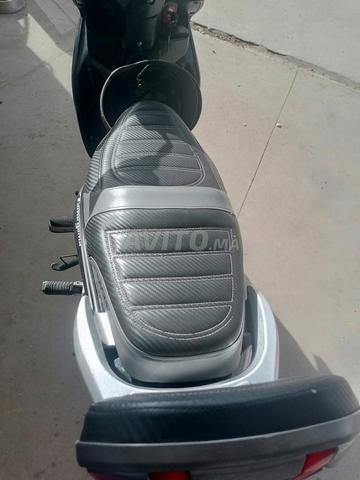 Moto Docker - 2