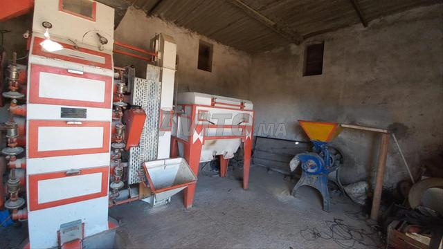 Sidi Bennour Zemamra - 2