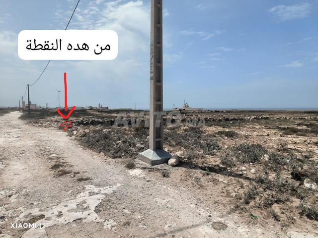 أرض إقليم الصويرة مولاي بوزرقطون 20 ألف متر مربع