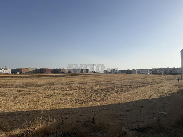 Terrain 33500m2 pour construction Villas - 2