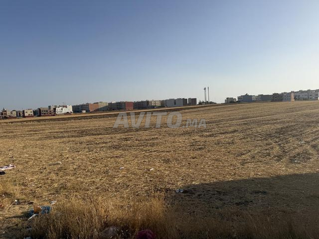Terrain 33500m2 pour construction Villas
