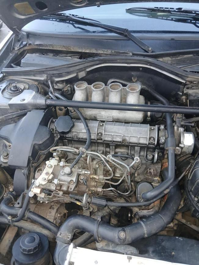 renault 19 نقية مازوط 