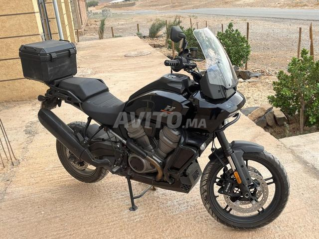 هارلي ديفيدسون بان أمريكا 1250 2022 - 2
