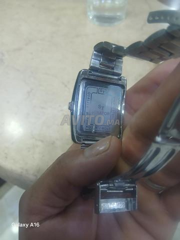 Senator أزرو - 2