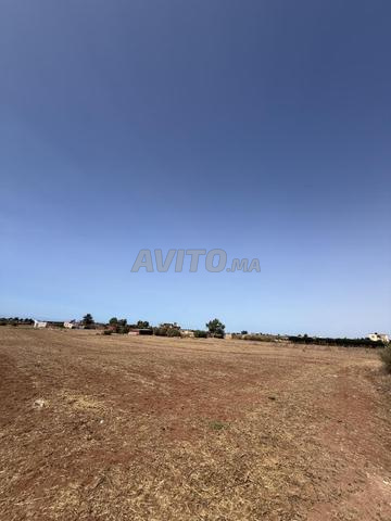 12500 متر مربع أرض مسجلة للبيع بموقع رائع - 2