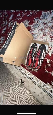 أديداس بريداتور