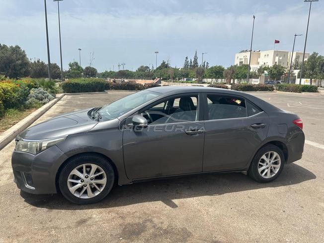 toyota corolla a ventre 
