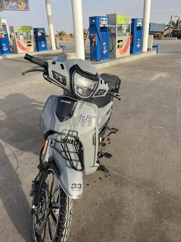 33becan w pack 50cc فابور - 2