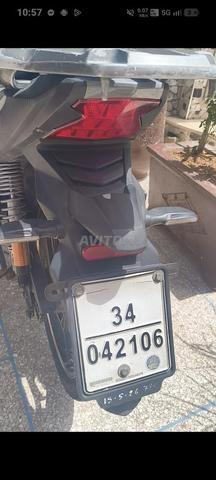 Bickan Kouper modèle 2024 - 2