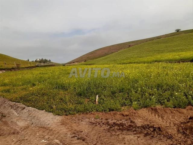 Terrain agricole - 2