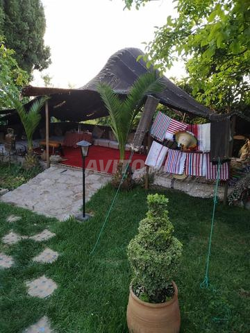Tente berbère traditionnelle (khaïma)