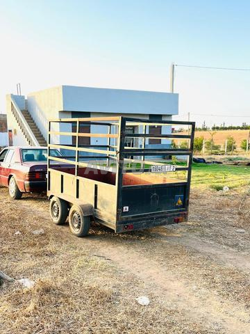 Caravane pour chevaux - 2